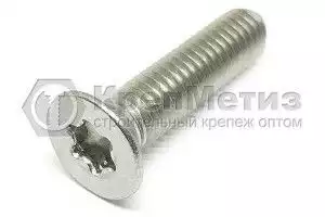 Винт DIN 965 A2 с потайной головкой шлиц Torx нержавеющий