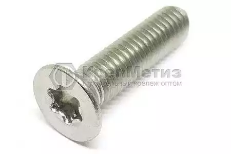 Винт DIN 965 A2 с потайной головкой шлиц Torx нержавеющий M3x25 - Фото 1
