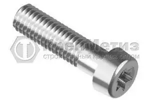 Винт ISO 14579 А2 с цилиндрической головкой шлиц Torx нержавеющий