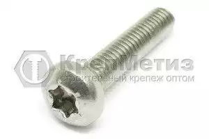 Винт ISO 14583 А2 с полуцилиндрической головкой шлиц Torx нержавеющий
