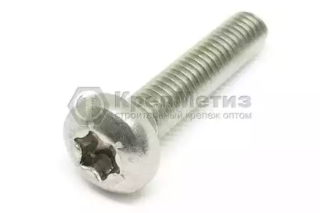 Винт ISO 14583 А2 с полуцилиндрической головкой шлиц Torx нержавеющий - Фото 1